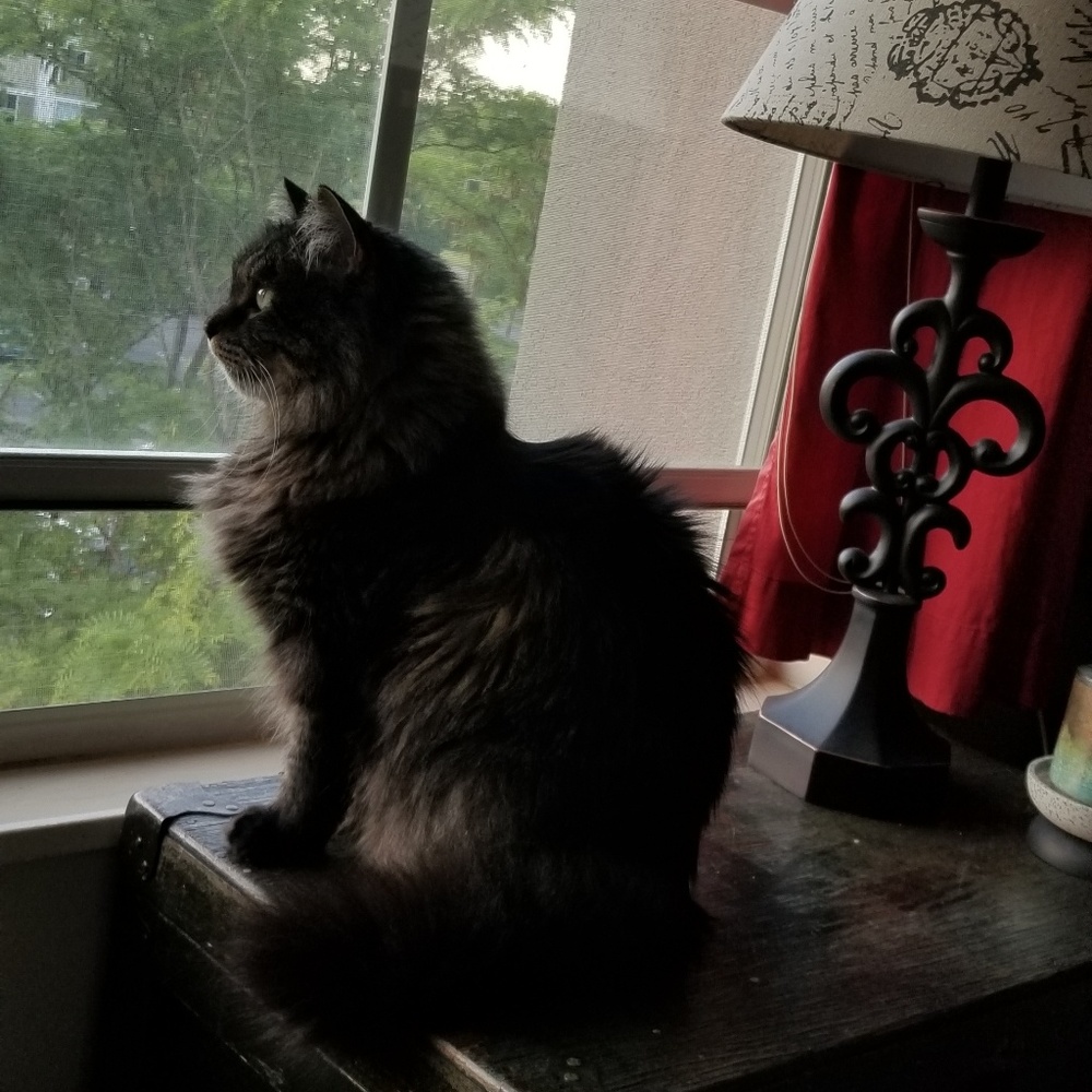 Meet your Posher, Dana